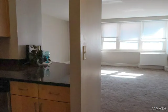 $50,000 | 210 North 17th Street, Unit 404, St. Louis, MO 63103