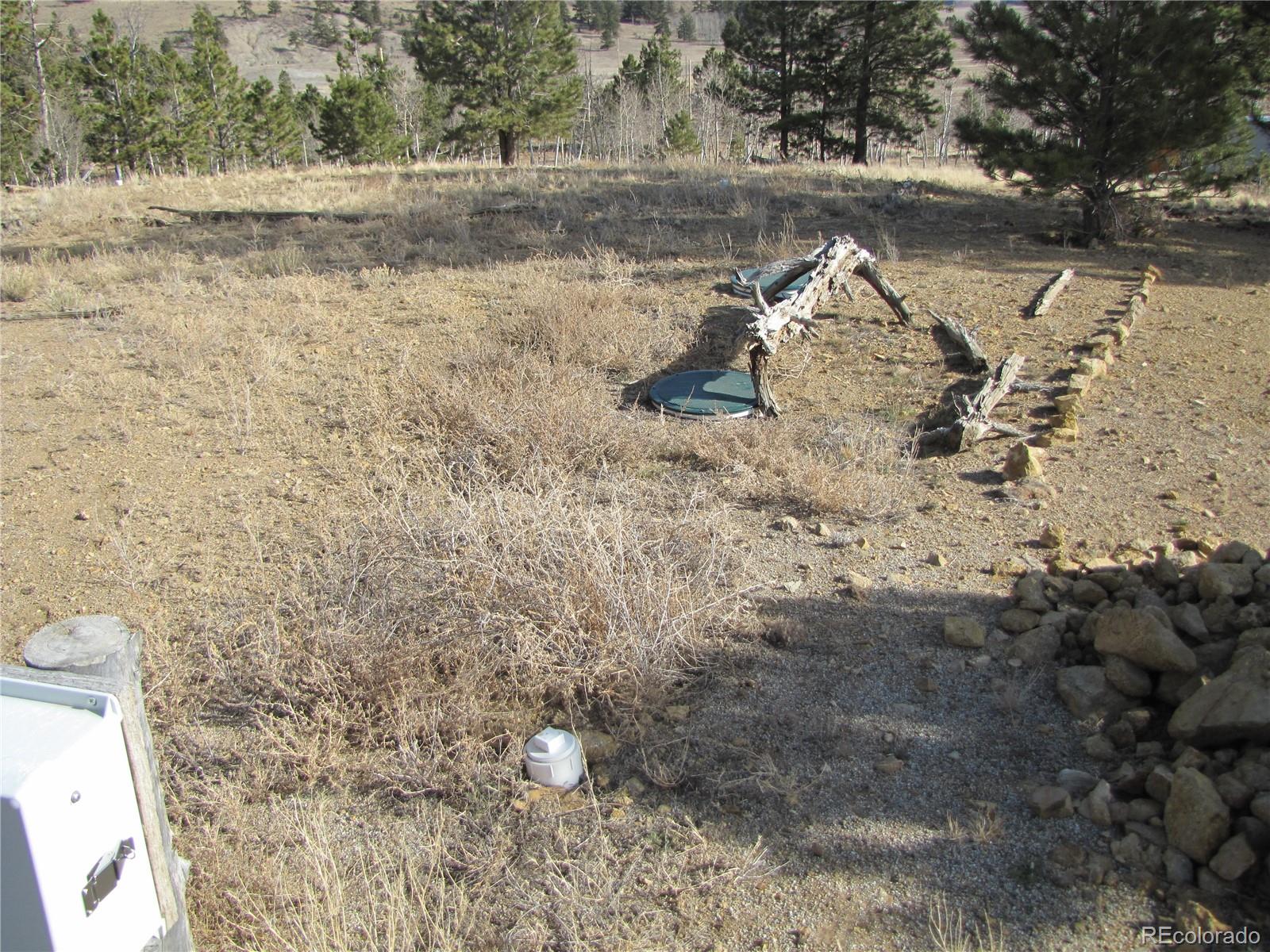 204 Wagon Wheel Road Hartsel, CO 80449 - Photo 12 of 21 Gallery Image 12