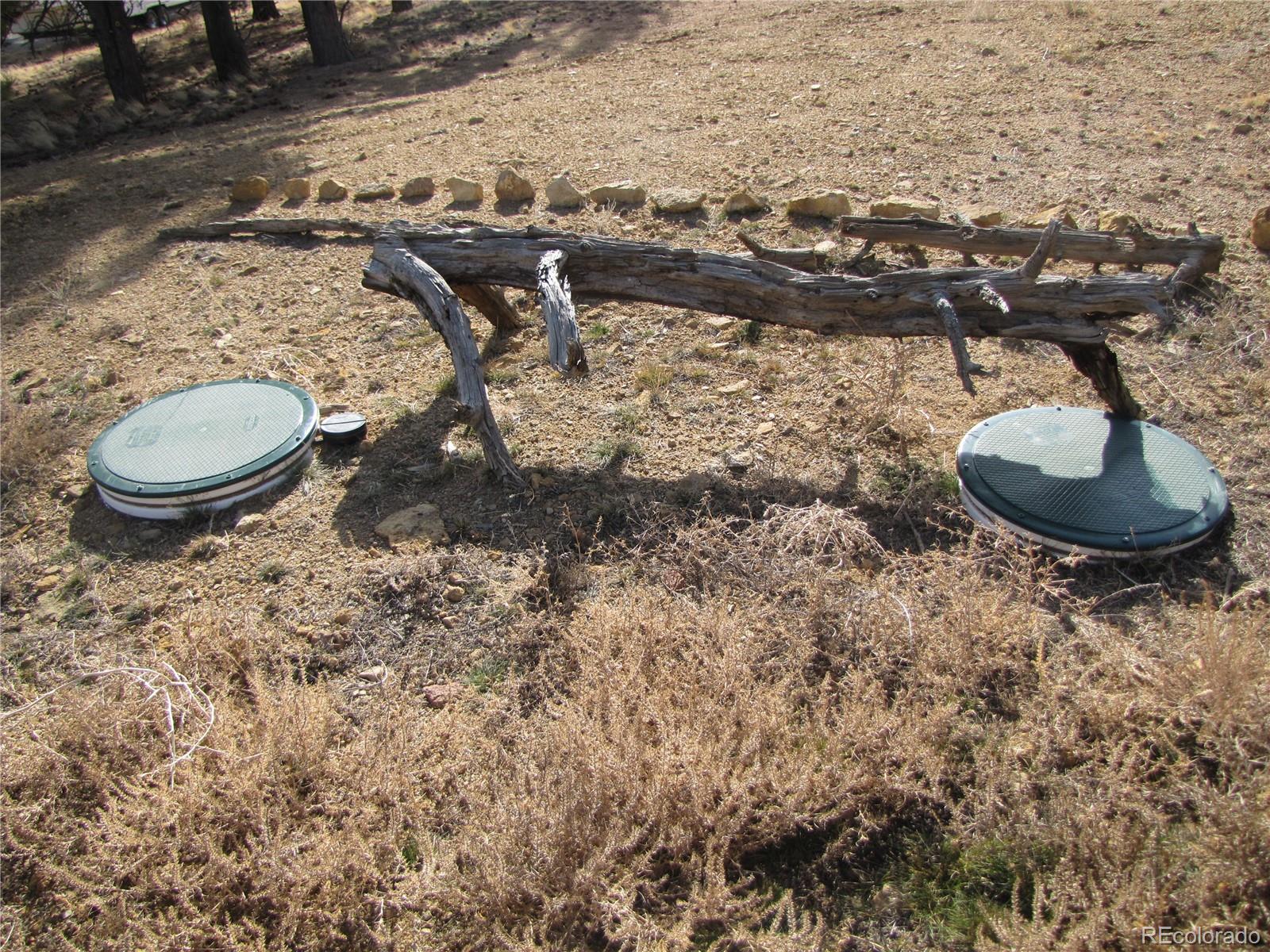 204 Wagon Wheel Road Hartsel, CO 80449 - Photo 13 of 21 Gallery Image 13