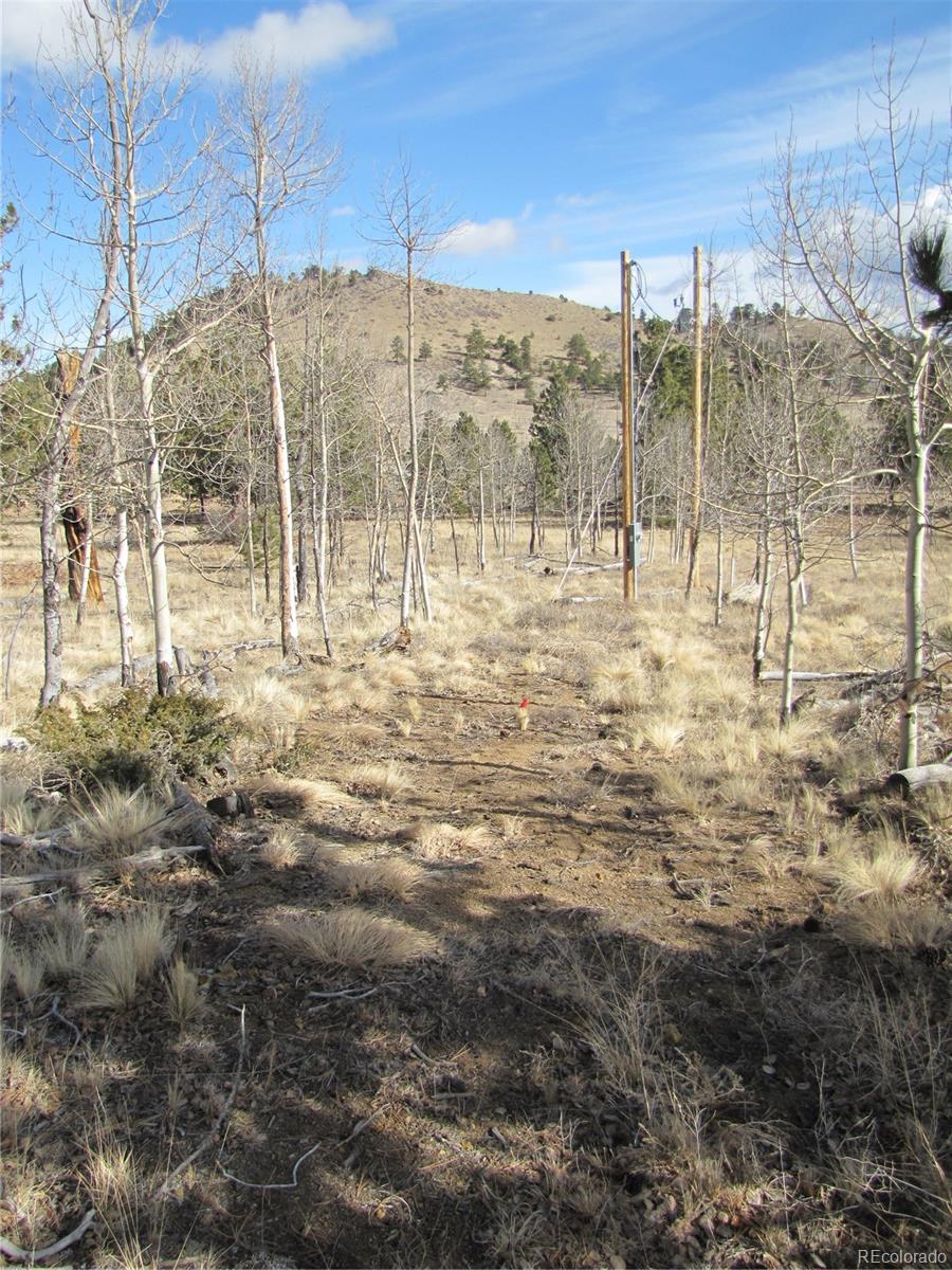 204 Wagon Wheel Road Hartsel, CO 80449 - Photo 16 of 21 Gallery Image 16