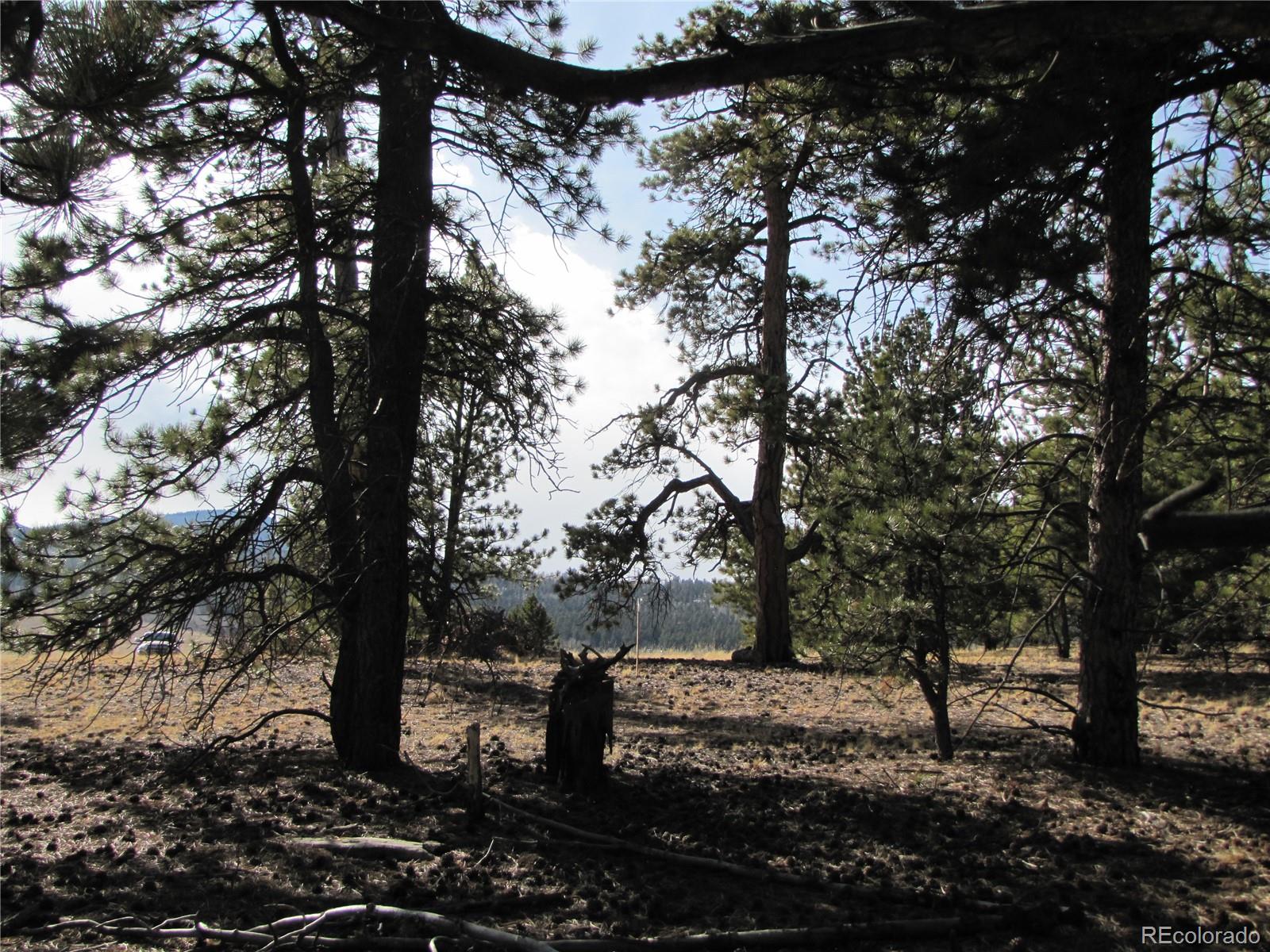204 Wagon Wheel Road Hartsel, CO 80449 - Photo 19 of 21 Gallery Image 19