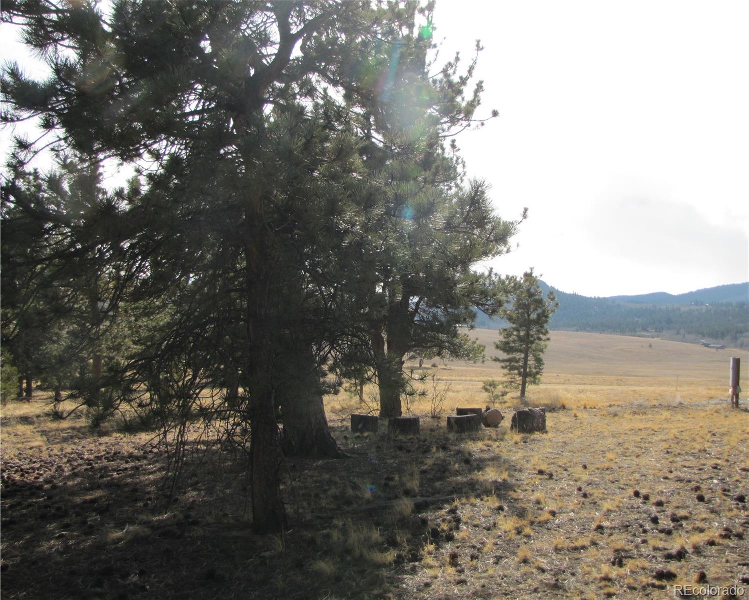 204 Wagon Wheel Road Hartsel, CO 80449 - Photo 20 of 21 Gallery Image 20