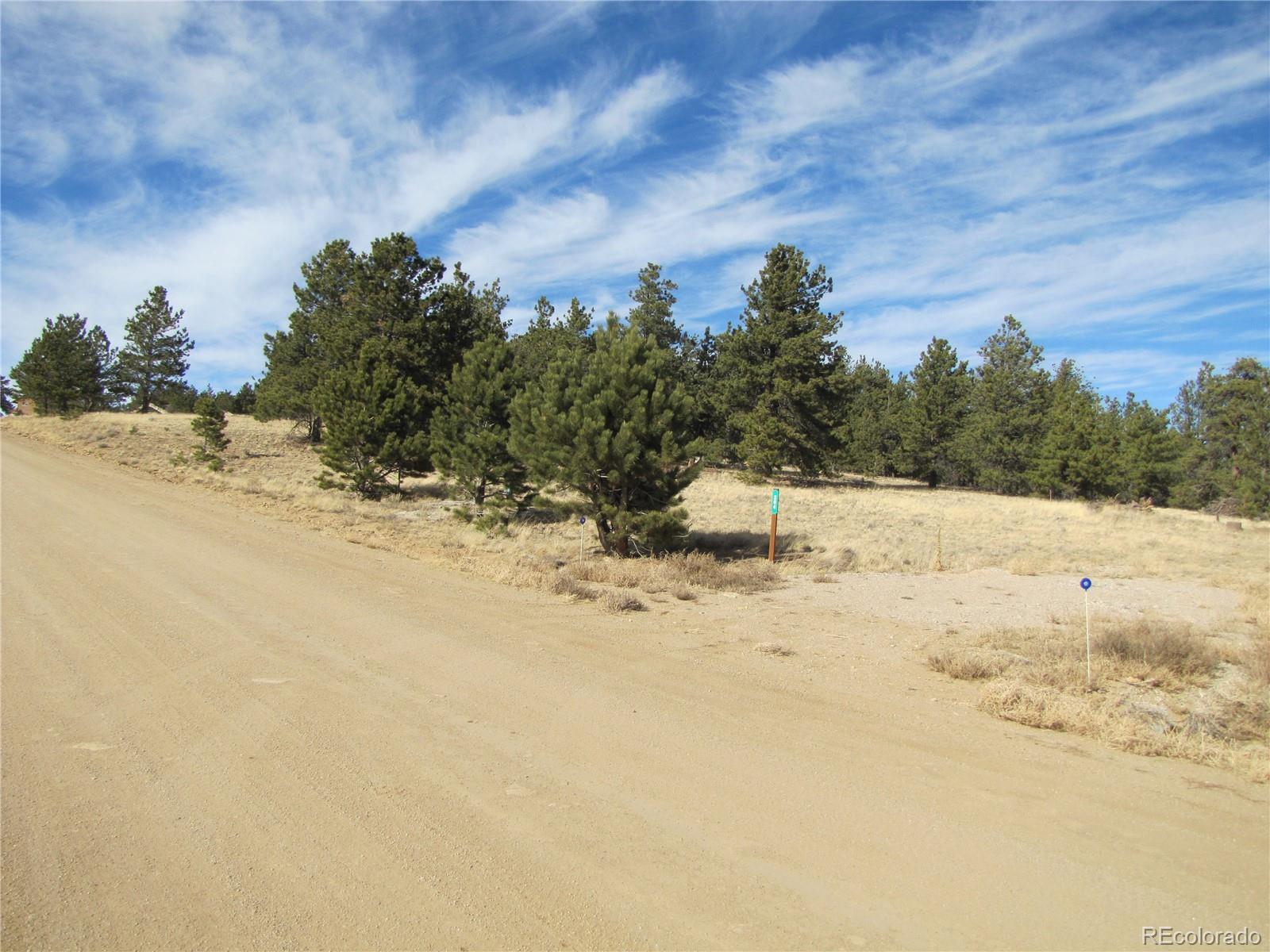 204 Wagon Wheel Road Hartsel, CO 80449 - Photo 4 of 21 Gallery Image 4