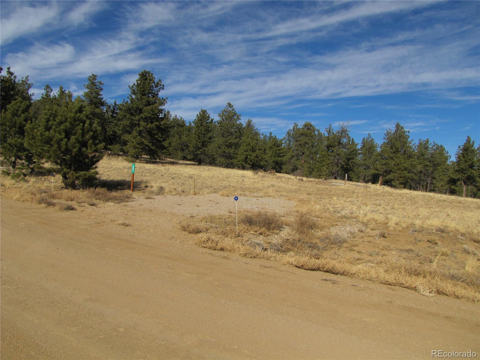 204 Wagon Wheel Road Hartsel, CO 80449 - Photo 5 of 21 Gallery Image 5