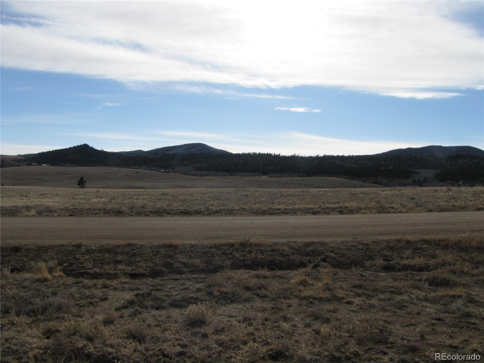 204 Wagon Wheel Road Hartsel, CO 80449 - Photo 8 of 21 Gallery Image 8