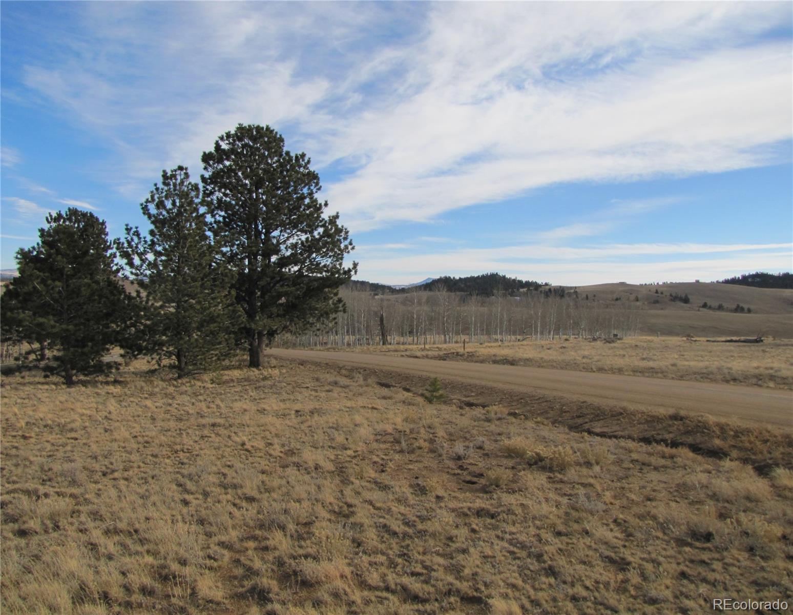 204 Wagon Wheel Road Hartsel, CO 80449 - Photo 9 of 21 Gallery Image 9