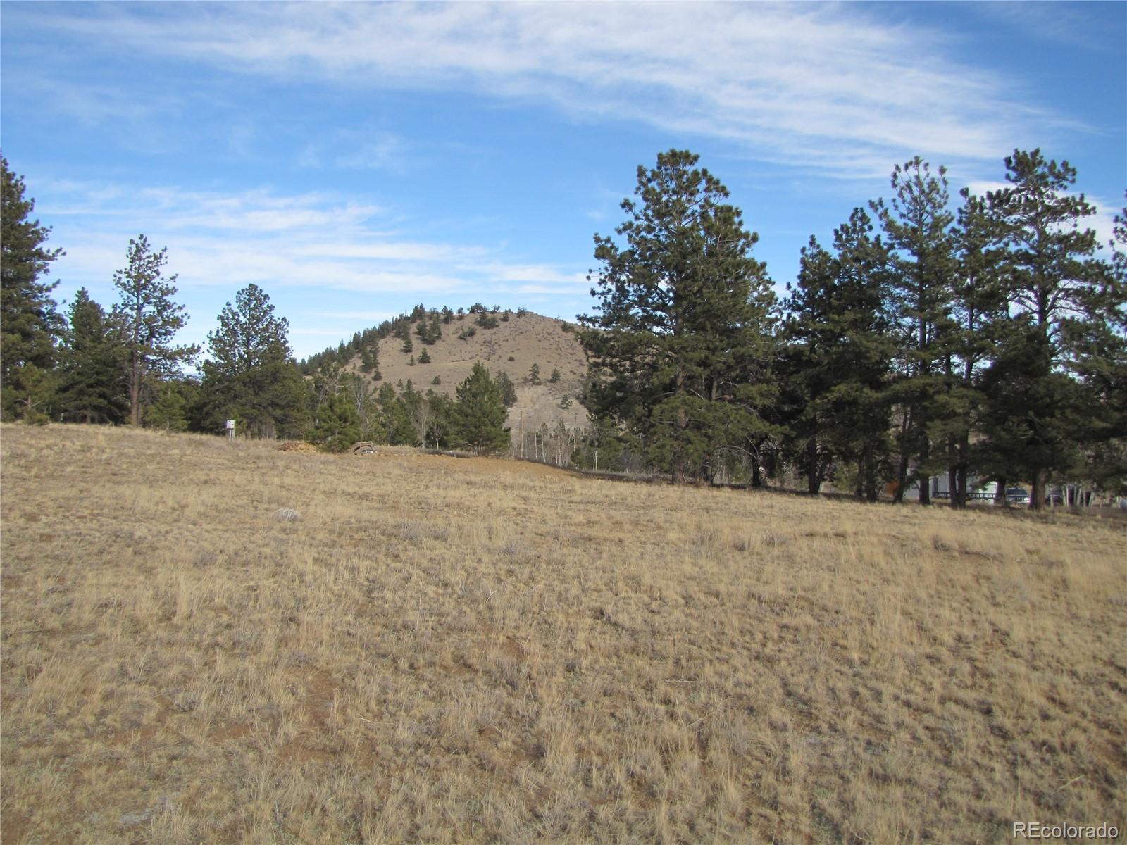 204 Wagon Wheel Road Hartsel, CO 80449 - Photo 10 of 21 Gallery Image 10