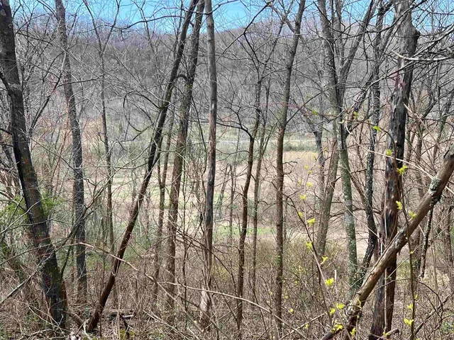 $997,000 | 54631 Scenic View, Gays Mills, WI 54645