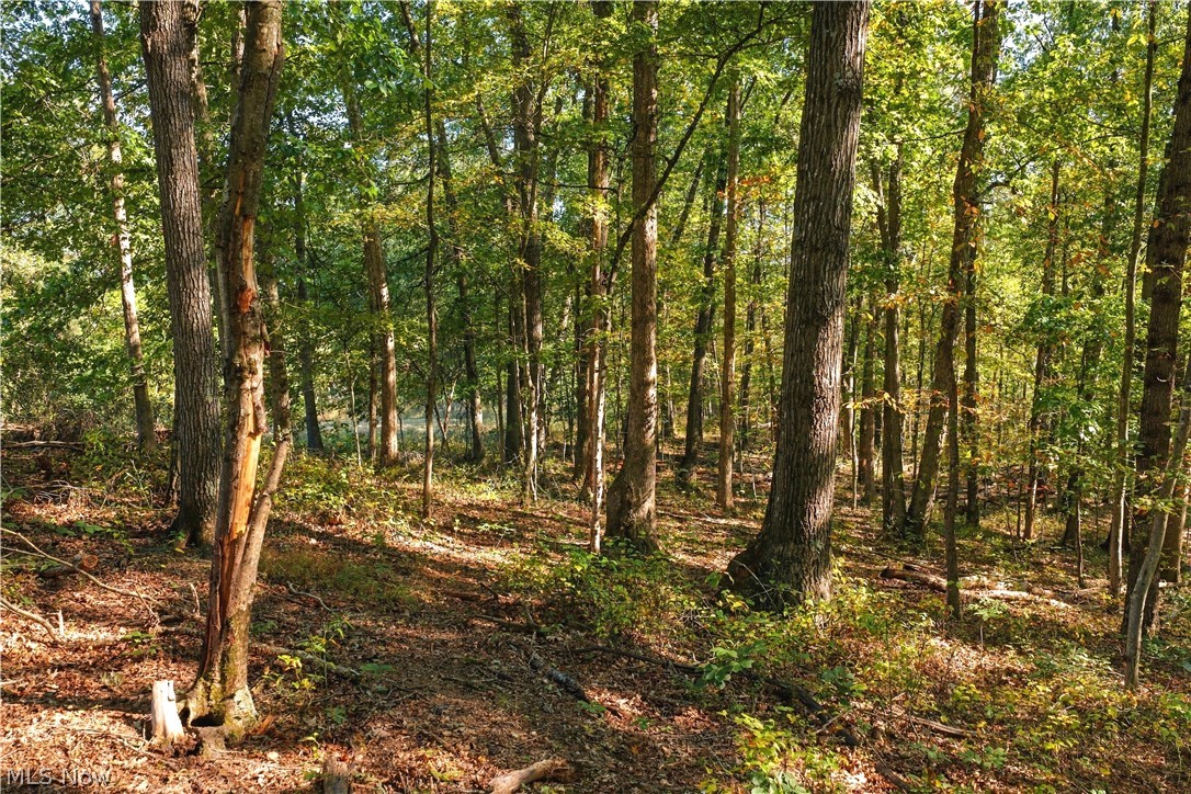 202 Mount Carmel Road Walker, WV 26180 - Photo 15 of 25 Gallery Image 15
