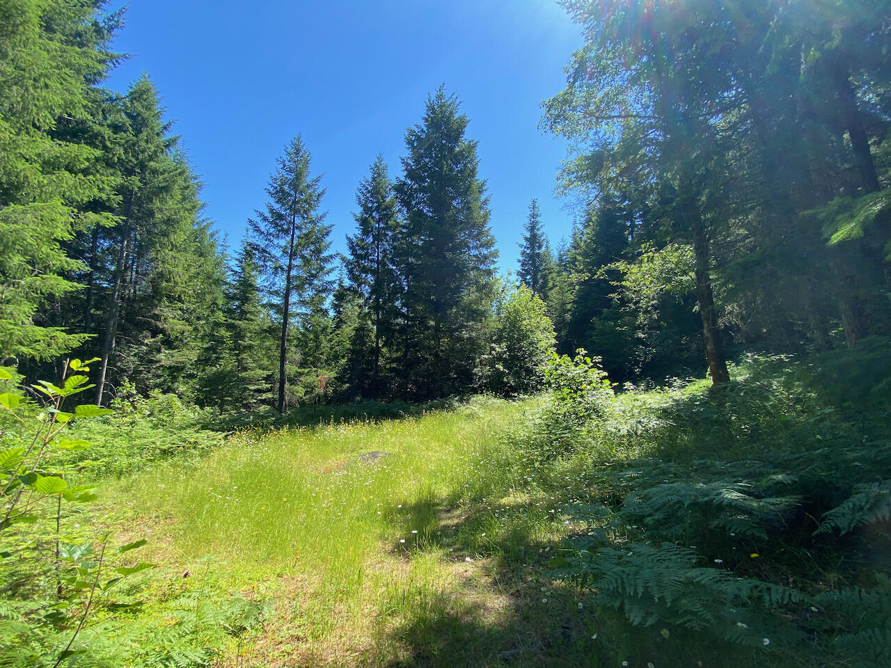 322 Beecher Road Wolf Creek, OR 97497 - Photo 22 of 47 322 Beecher Rd