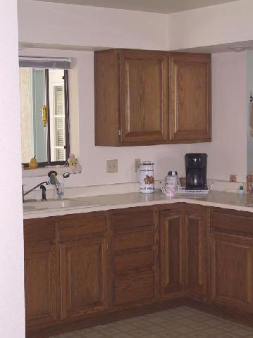261 Rice Road, Unit 1 Fallon, NV 89406 - Photo 4 of 5