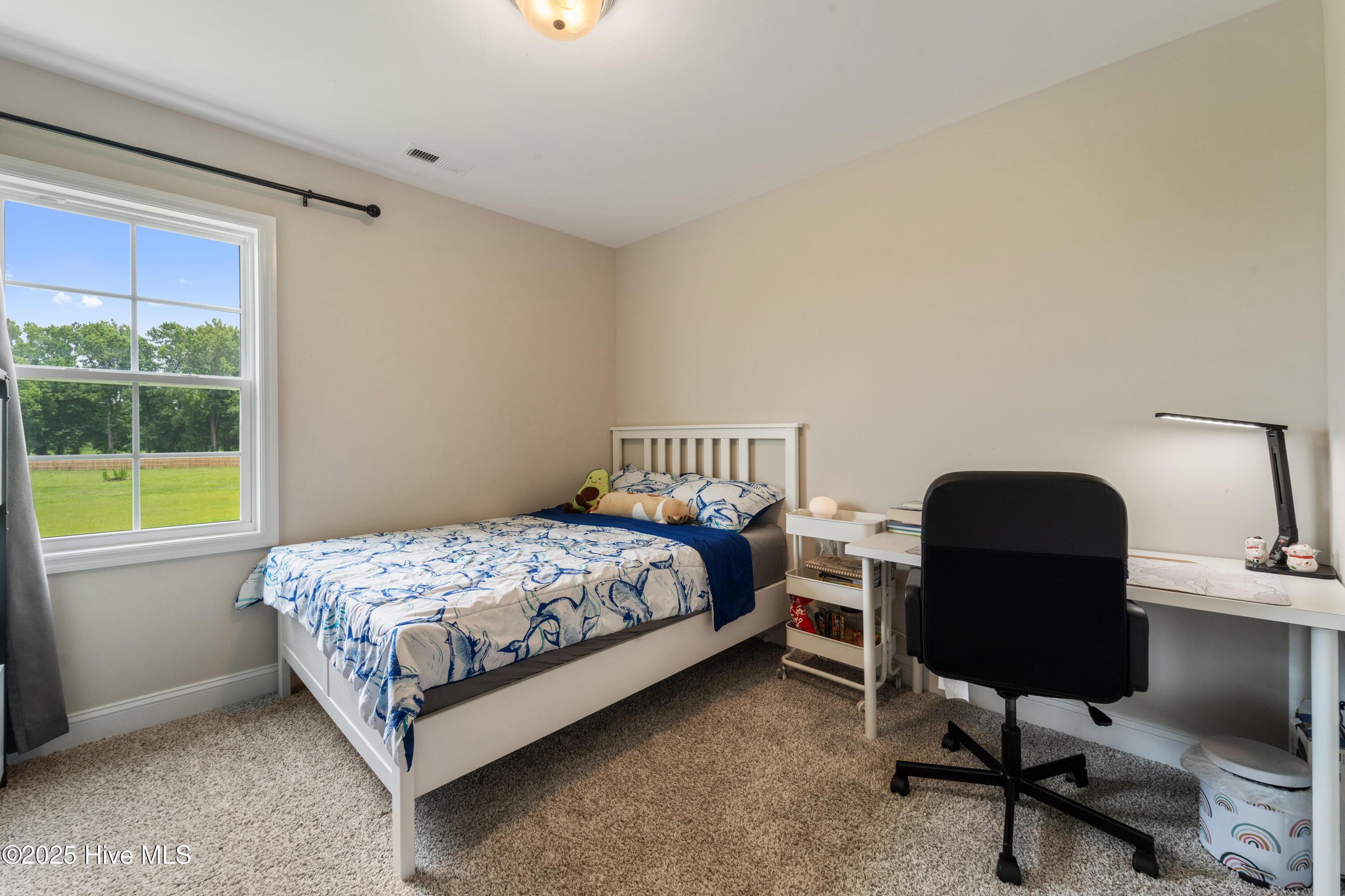 575 Stella Road Stella, NC 28582 - Photo 17 of 51 DSC08038