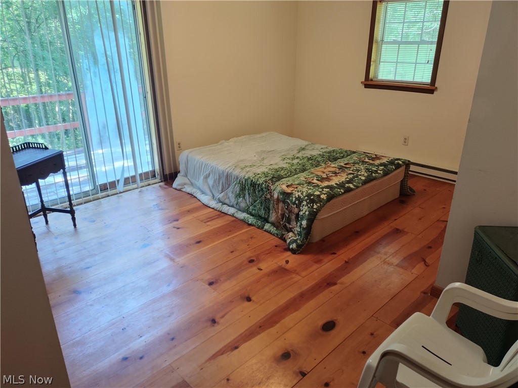 1511 Snowbird Road West Union, WV 26456 - Photo 9 of 26 Main Bedroom