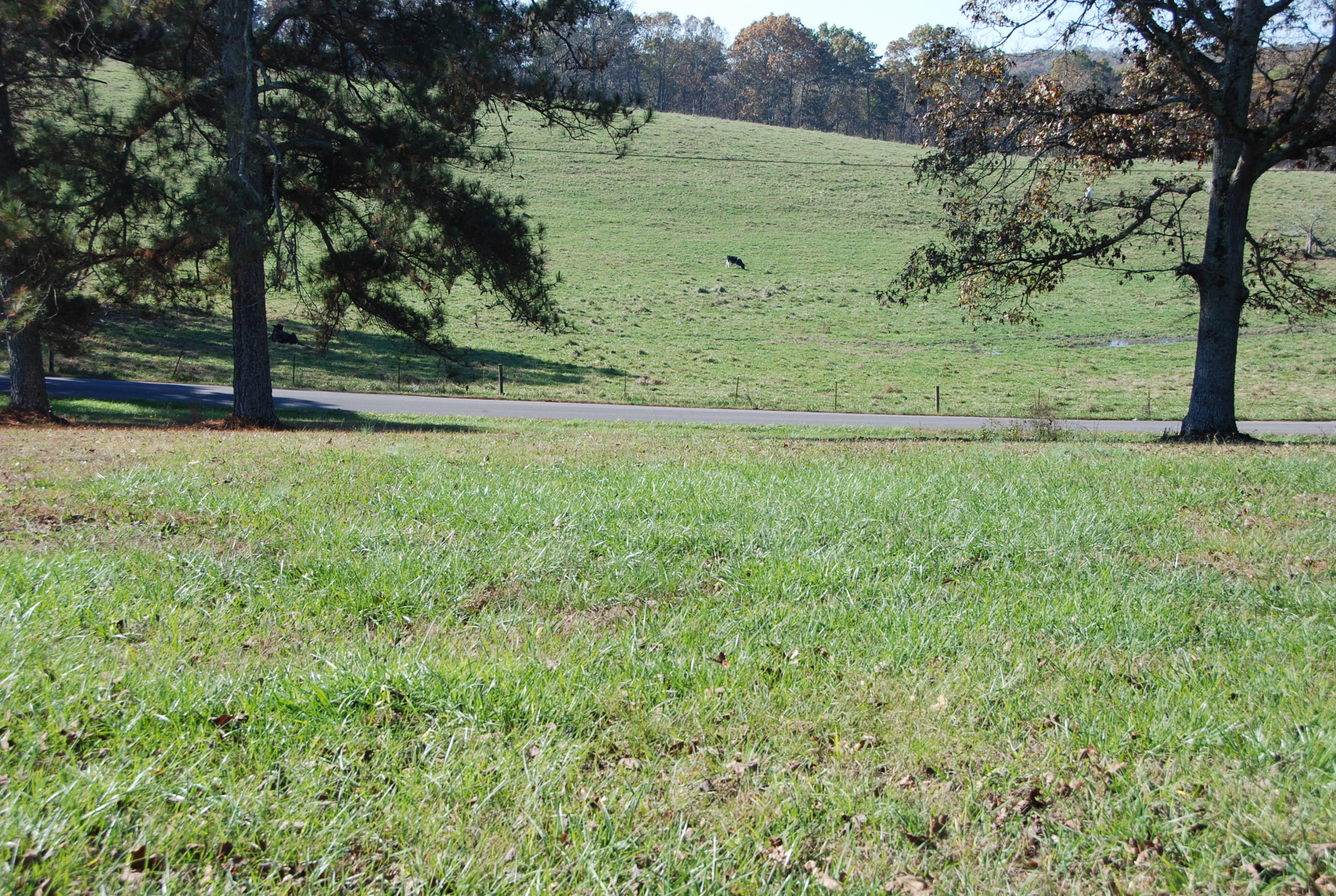 687 Wilkinson Road Northeast Cleveland, TN 37323 - Photo 17 of 21 DSC_0112