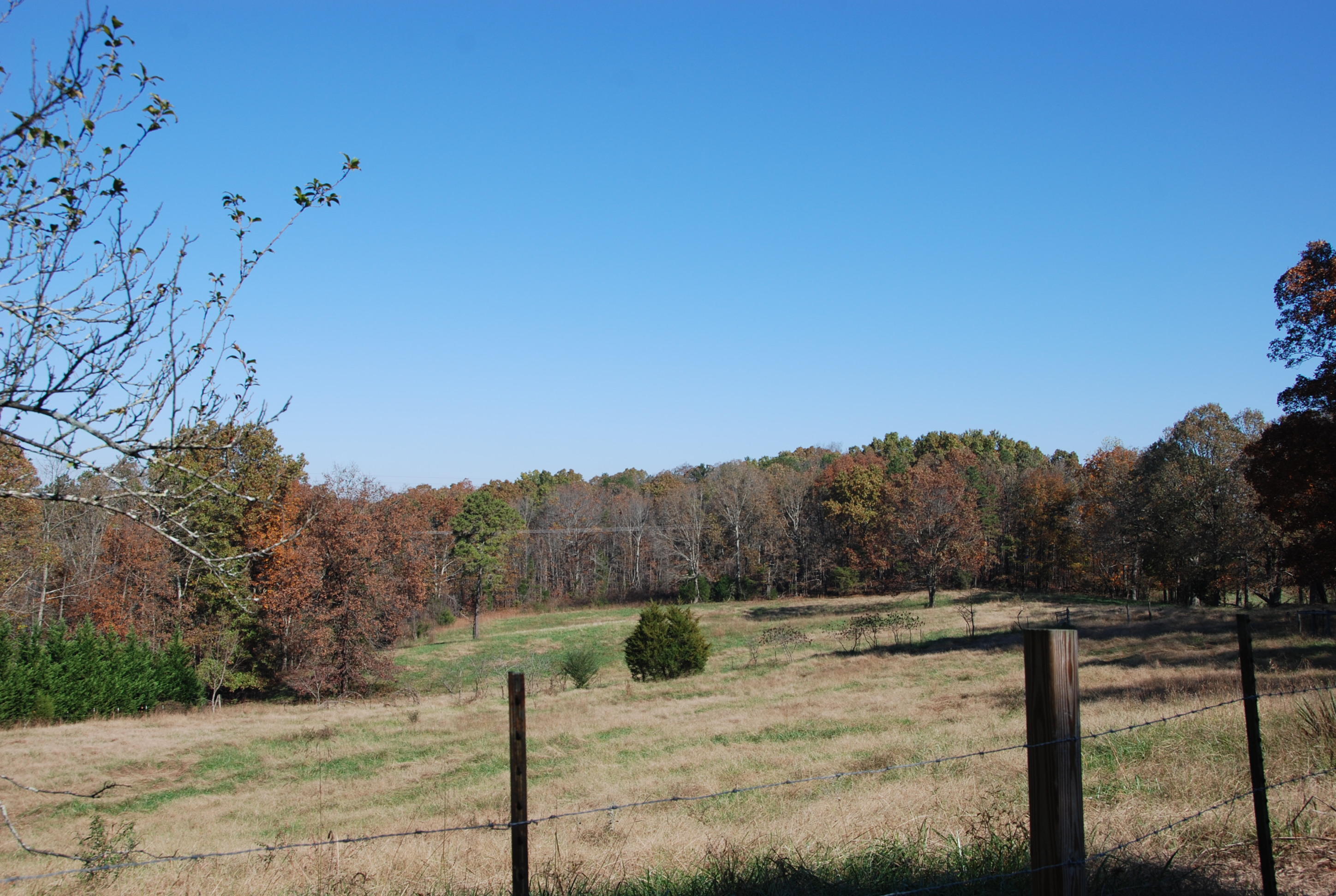 687 Wilkinson Road Northeast Cleveland, TN 37323 - Photo 21 of 21 DSC_0106