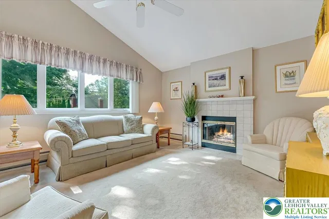 a living room with furniture and a fireplace