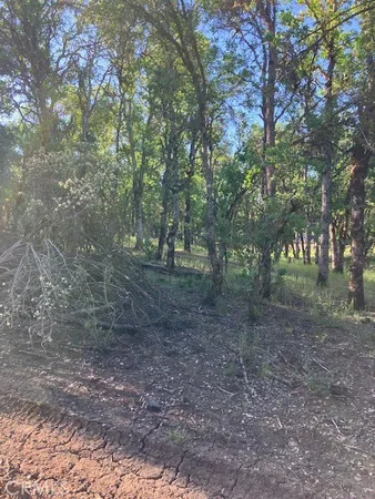 $9,000 | 16053 13th Avenue, Clearlake, CA 95422