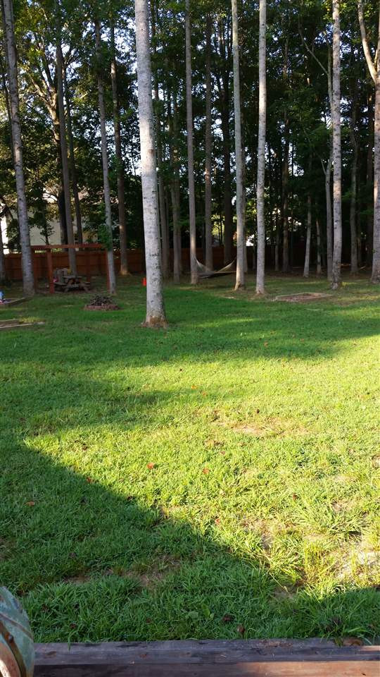 2115 Government Road Clayton, NC 27520 - Photo 19 of 21 Photo 20