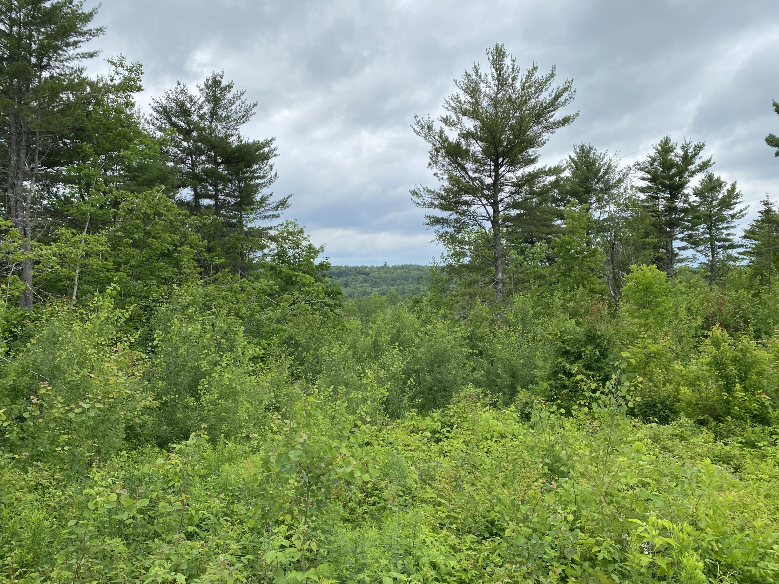 954 West Appleton Road Appleton, ME 04862 - Photo 9 of 9 IMG_1407