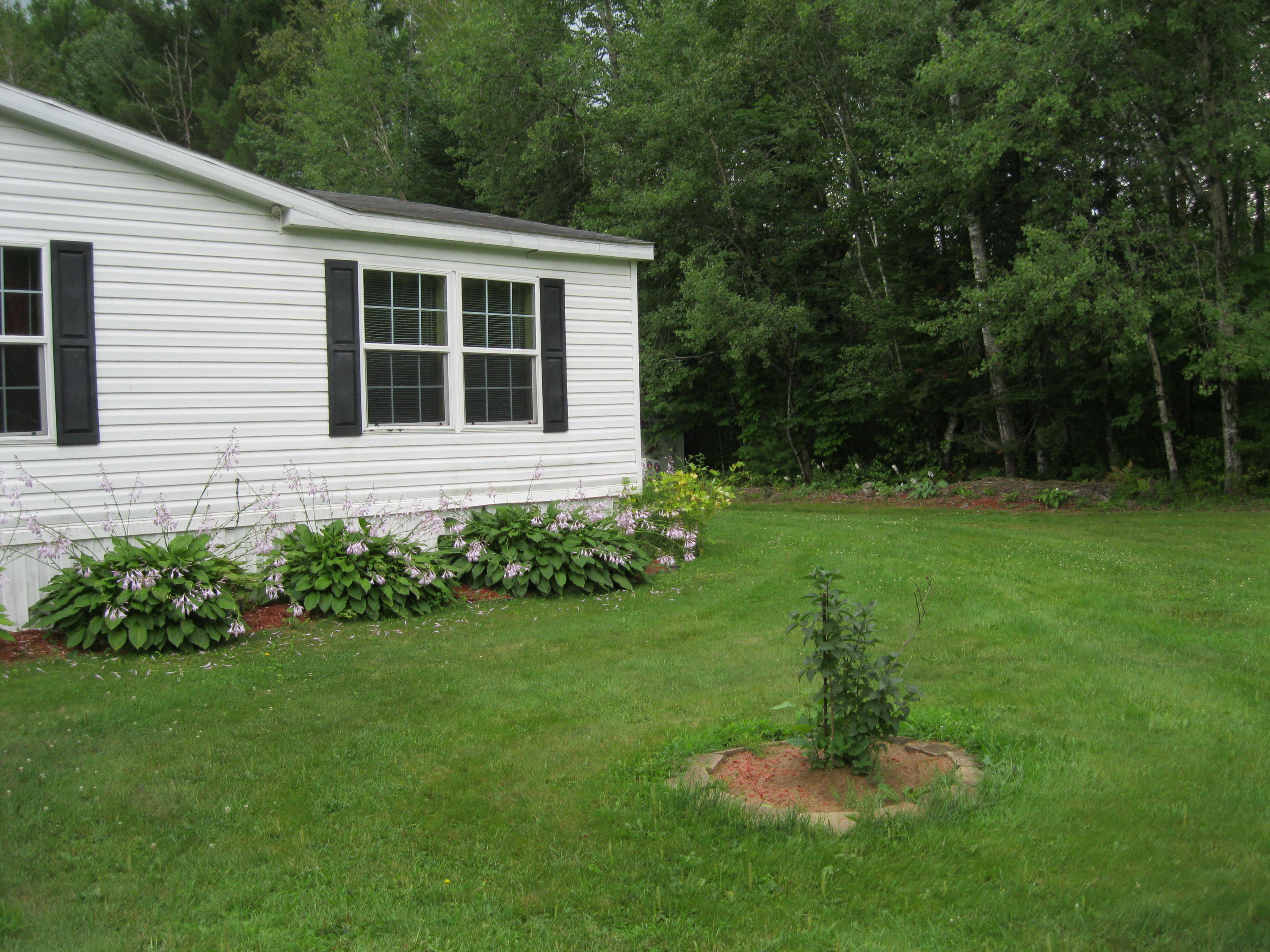 547 Stetson Road Newport, ME 04953 - Photo 9 of 16 009