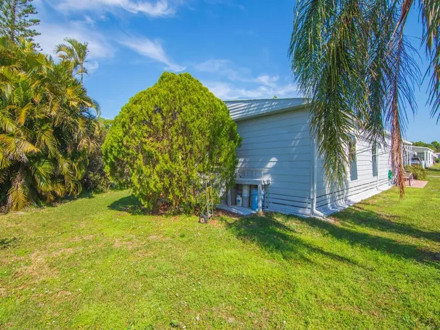 a view of a backyard with potted plants and a large tree