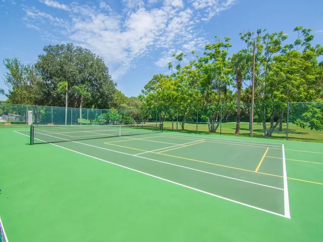 a view of a tennis ground with large trees