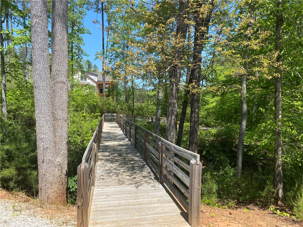 0 McAlister Road, Unit LOT 82 West Union, SC 29696 - Photo 10 of 13 walkway to slips