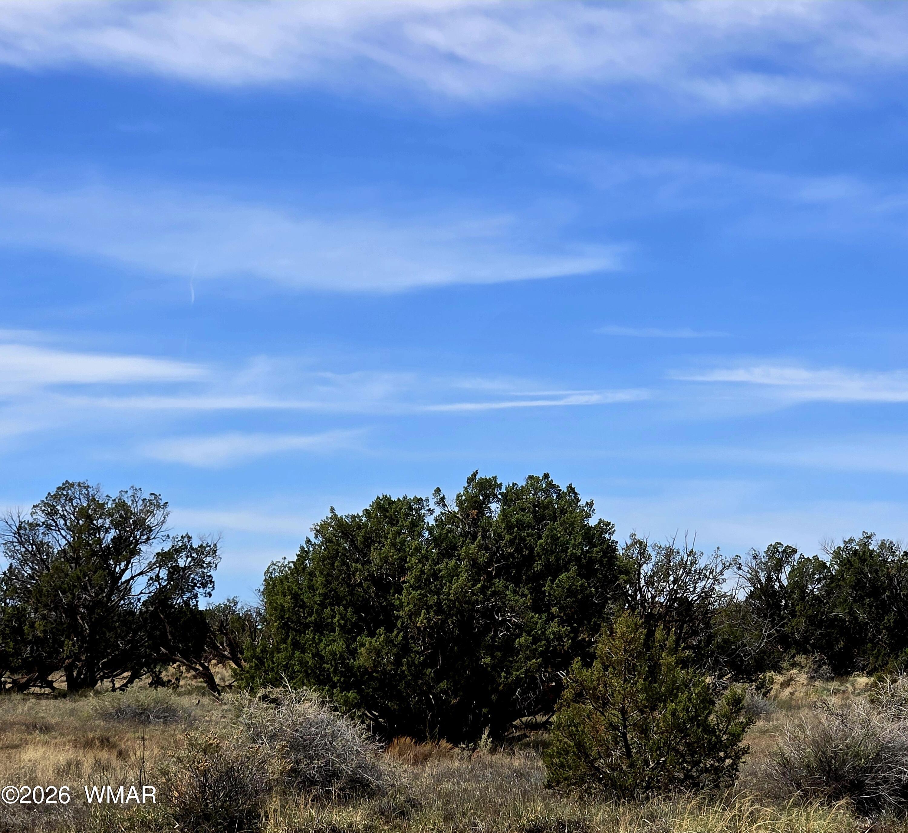 5438 County Line Road Snowflake, AZ 85937 - Photo 2 of 13 Juniper/Pinon create a majestic landscape on this property.