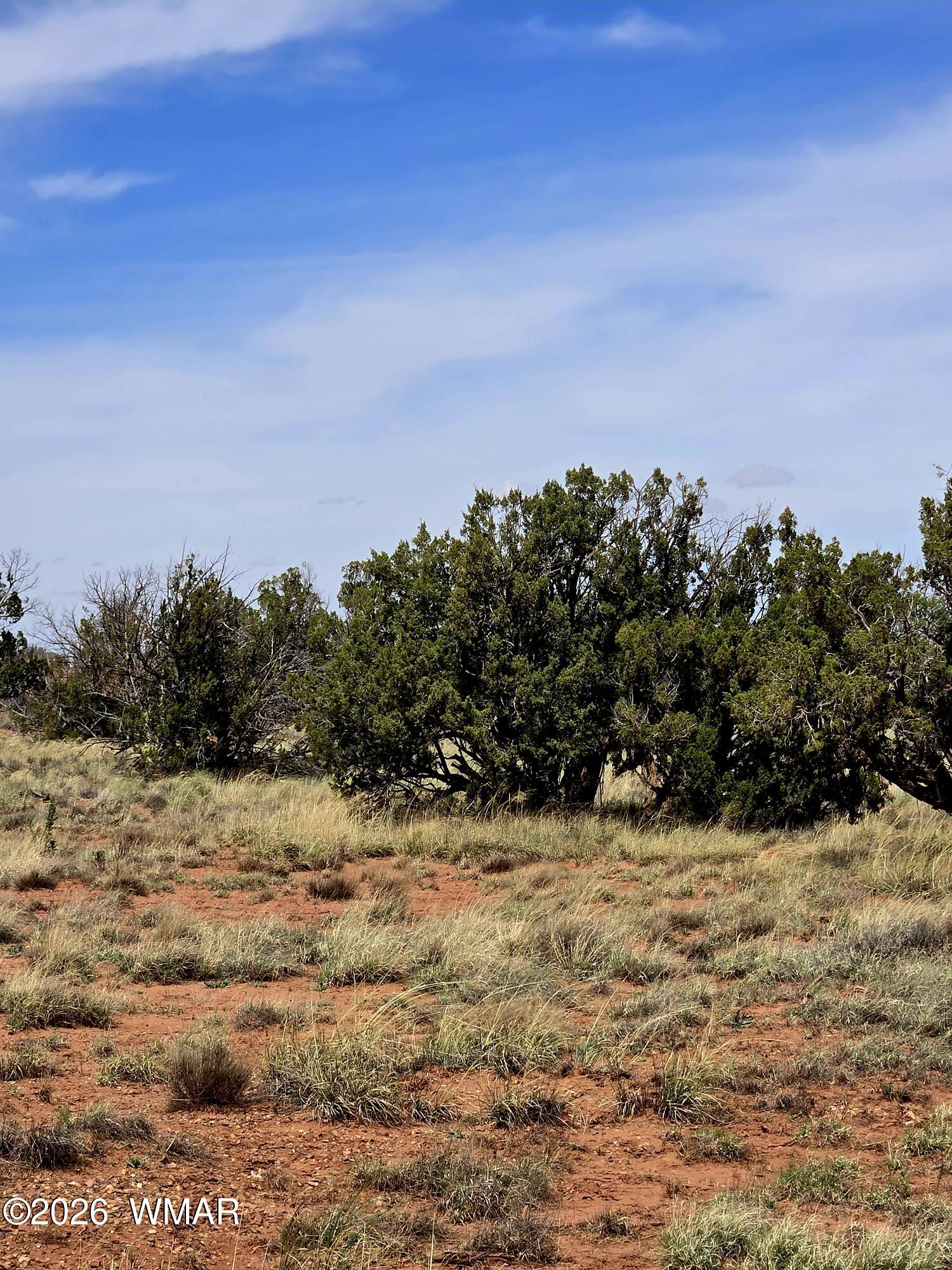 5438 County Line Road Snowflake, AZ 85937 - Photo 3 of 13 Portions of this property free of trees offering the perfect place to park your RV or build