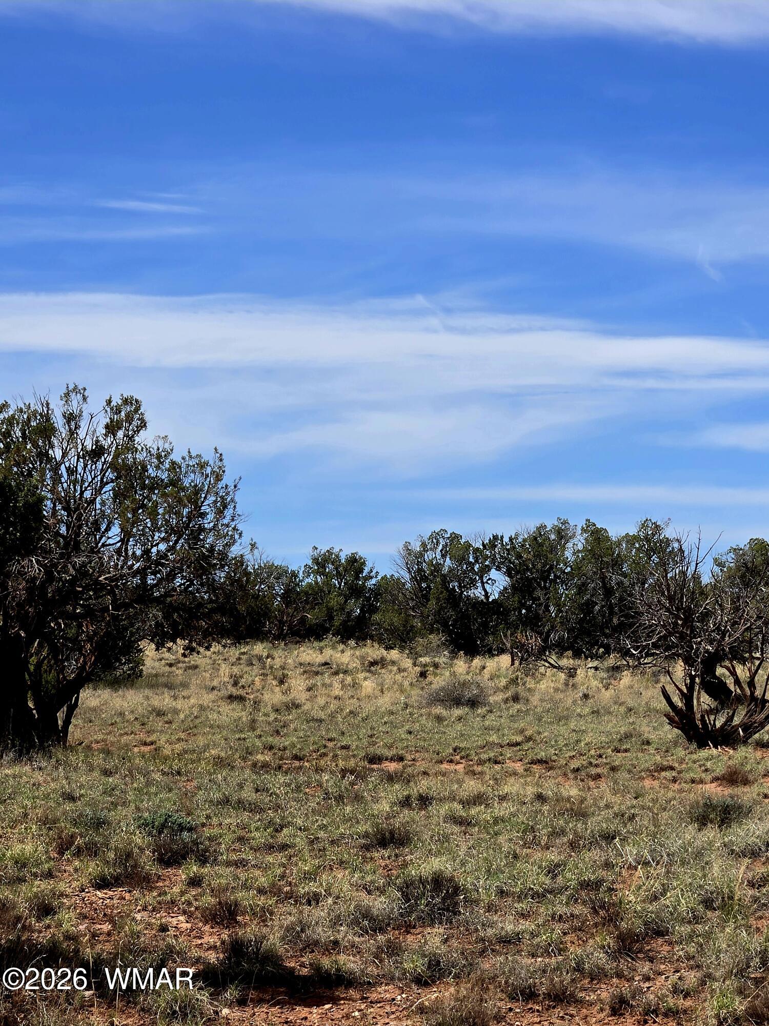 5438 County Line Road Snowflake, AZ 85937 - Photo 4 of 13 Enjoy the great outdoors under the blue skies of Arizona