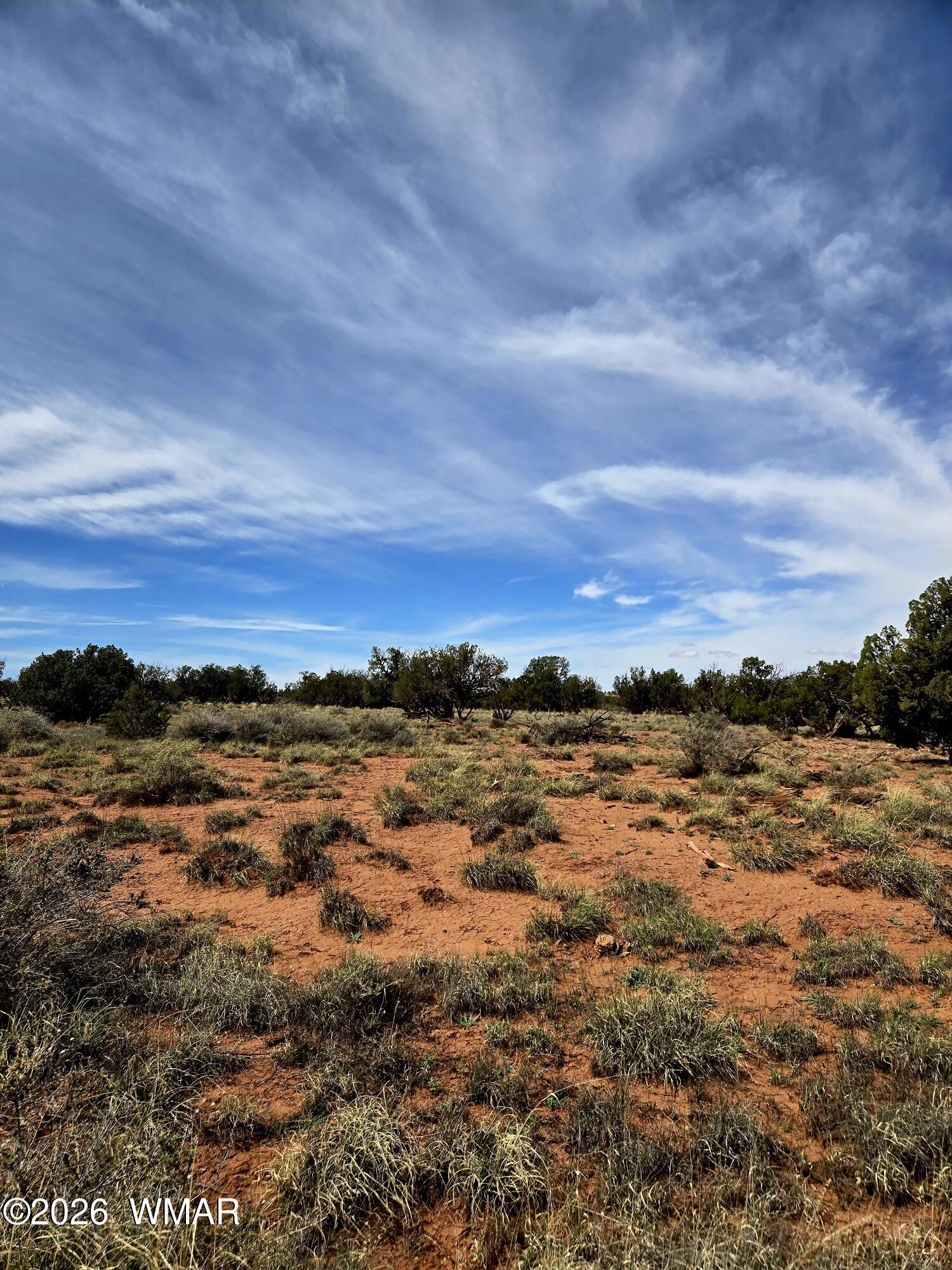 5438 County Line Road Snowflake, AZ 85937 - Photo 6 of 13 This landscape offers trees, shrubs, meadow grasses and more!
