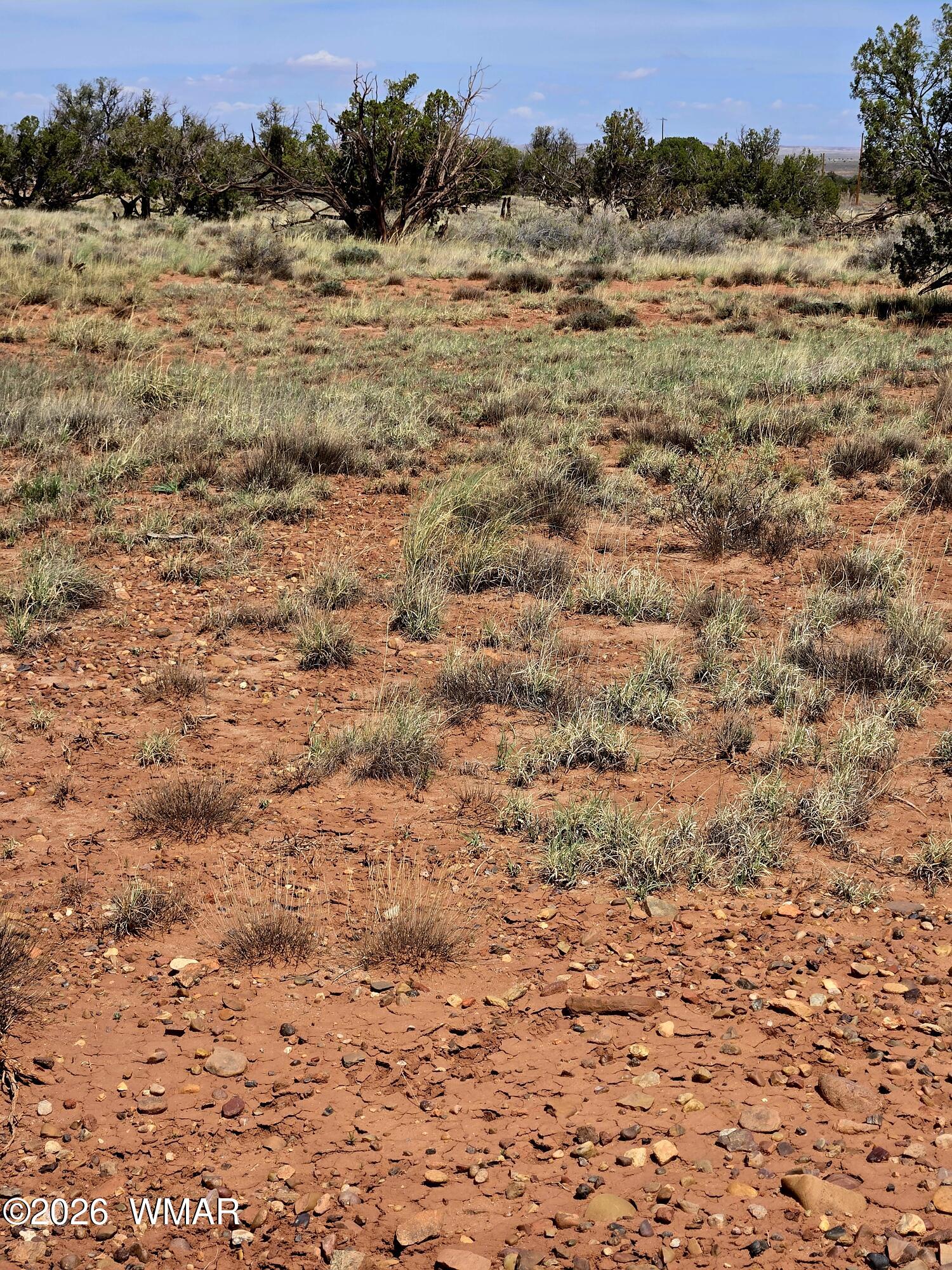 5438 County Line Road Snowflake, AZ 85937 - Photo 7 of 13 Open Spaces