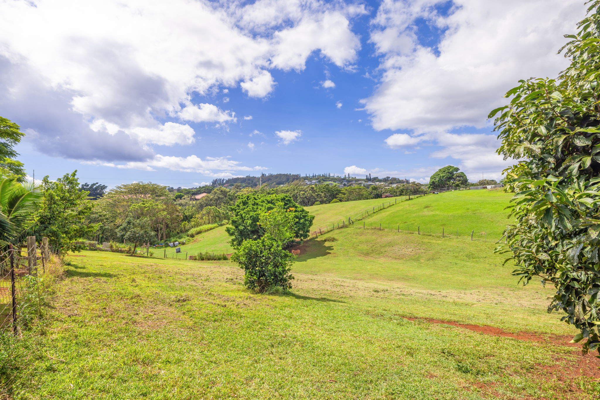 4591 Iwi Road Kalaheo, HI 96741 - Photo 28 of 29 Gallery Image 28