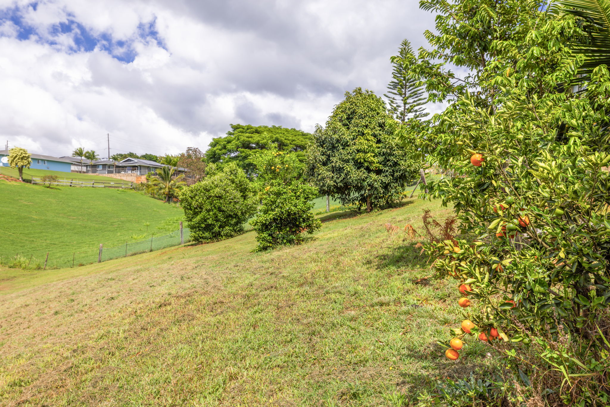 4591 Iwi Road Kalaheo, HI 96741 - Photo 29 of 29 Gallery Image 29