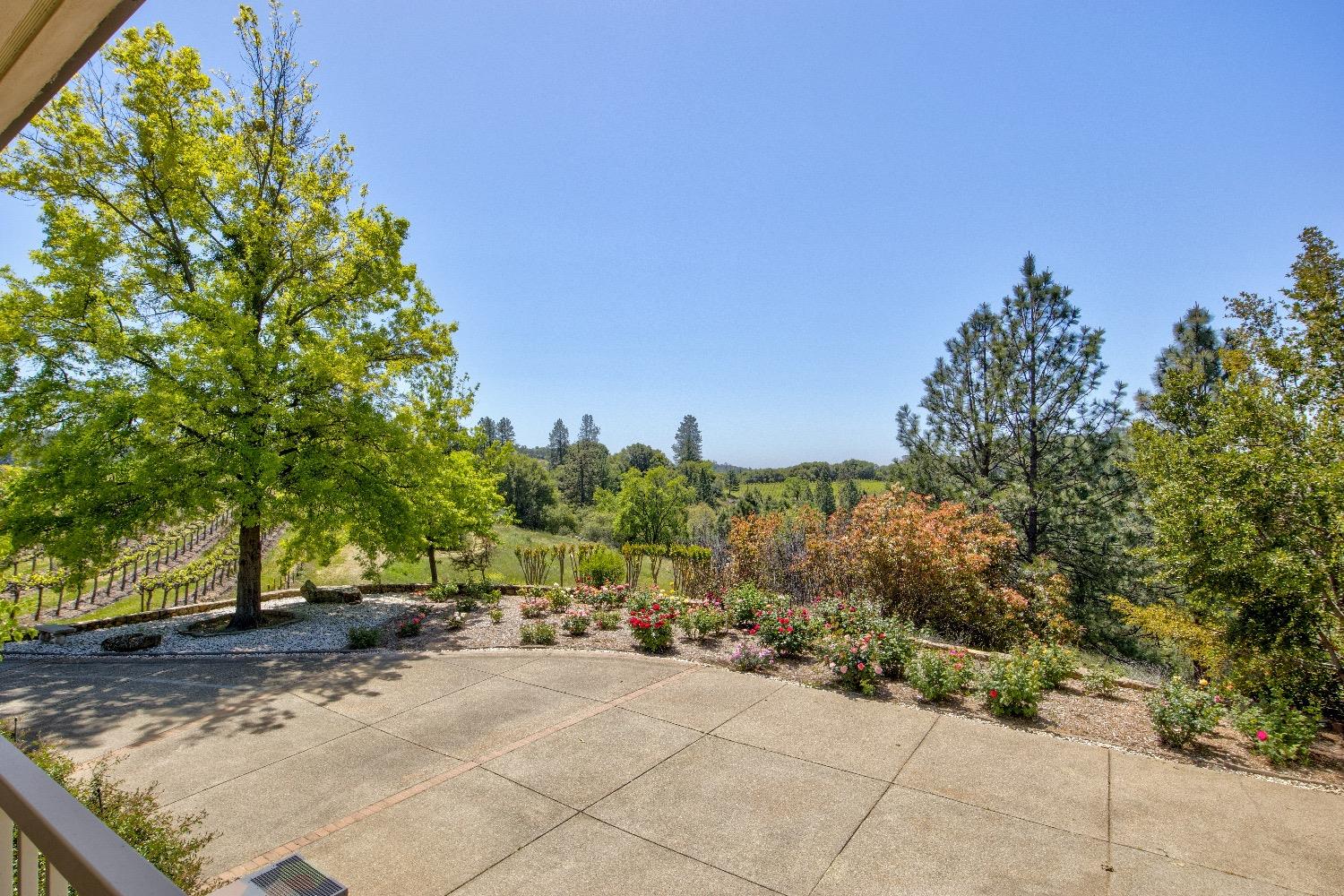 13320 Oakstream Road Plymouth, CA 95669 - Photo 40 of 98