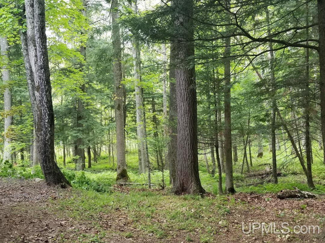 Tbd Anderson Road Sidnaw, MI 49961 - Photo 1 of 1