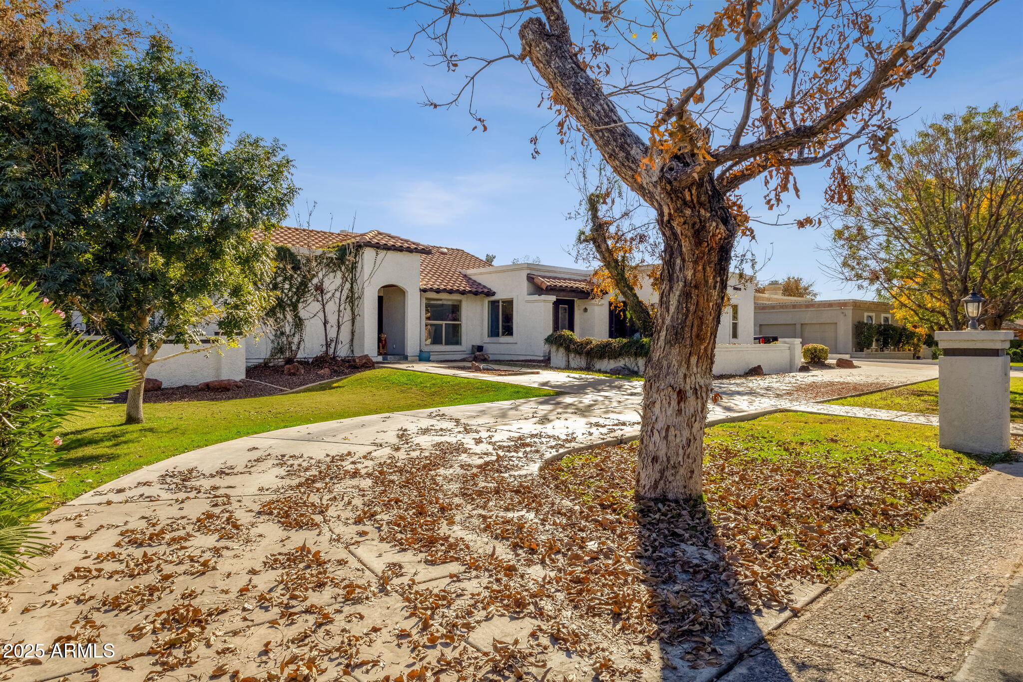89 North Riata Street Gilbert, AZ 85234 - Photo 4 of 40 a view of a house with a yard