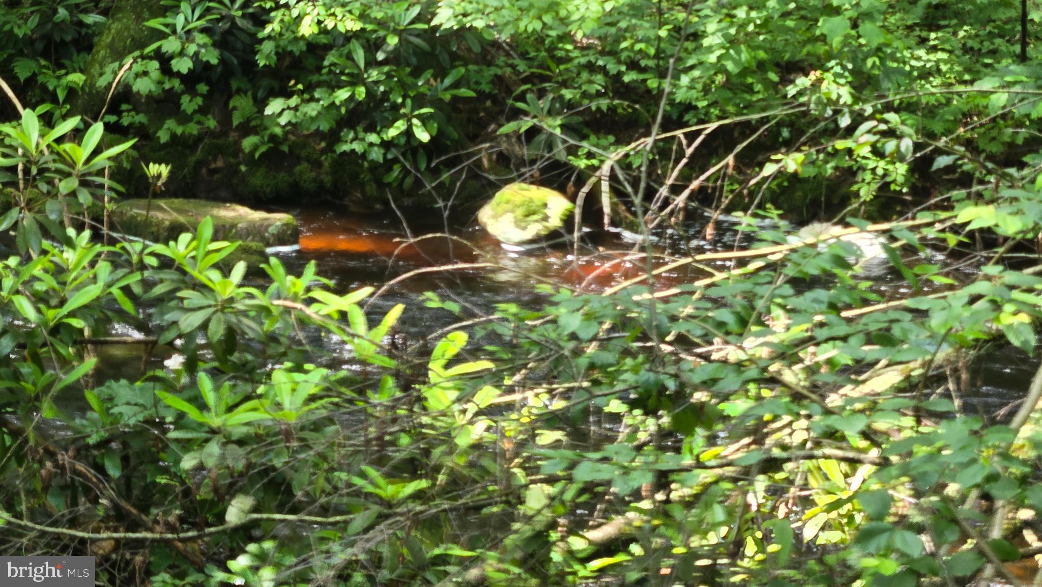 212 Thickhead Mountain Road Centre Hall, PA 16828 - Photo 6 of 28 Serene stream in back yard.