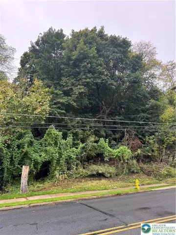 a view of a swimming pool with a yard and large trees