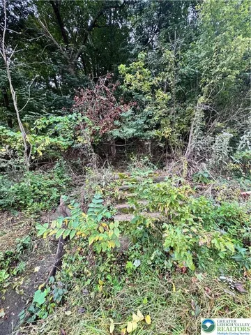 a plant view in yard