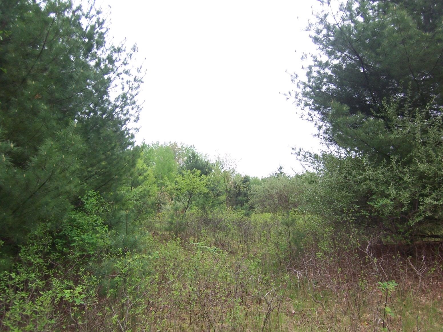 County Road South Sobieski, WI 54171 - Photo 14 of 15