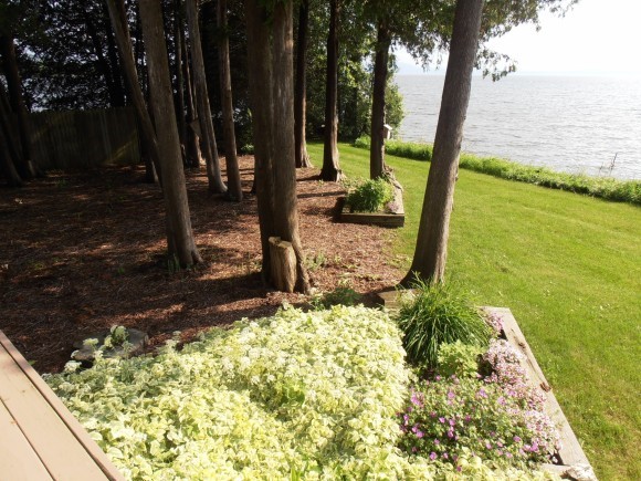719 Hills Point Road Charlotte, VT 05445 - Photo 26 of 32 Gallery Image 26