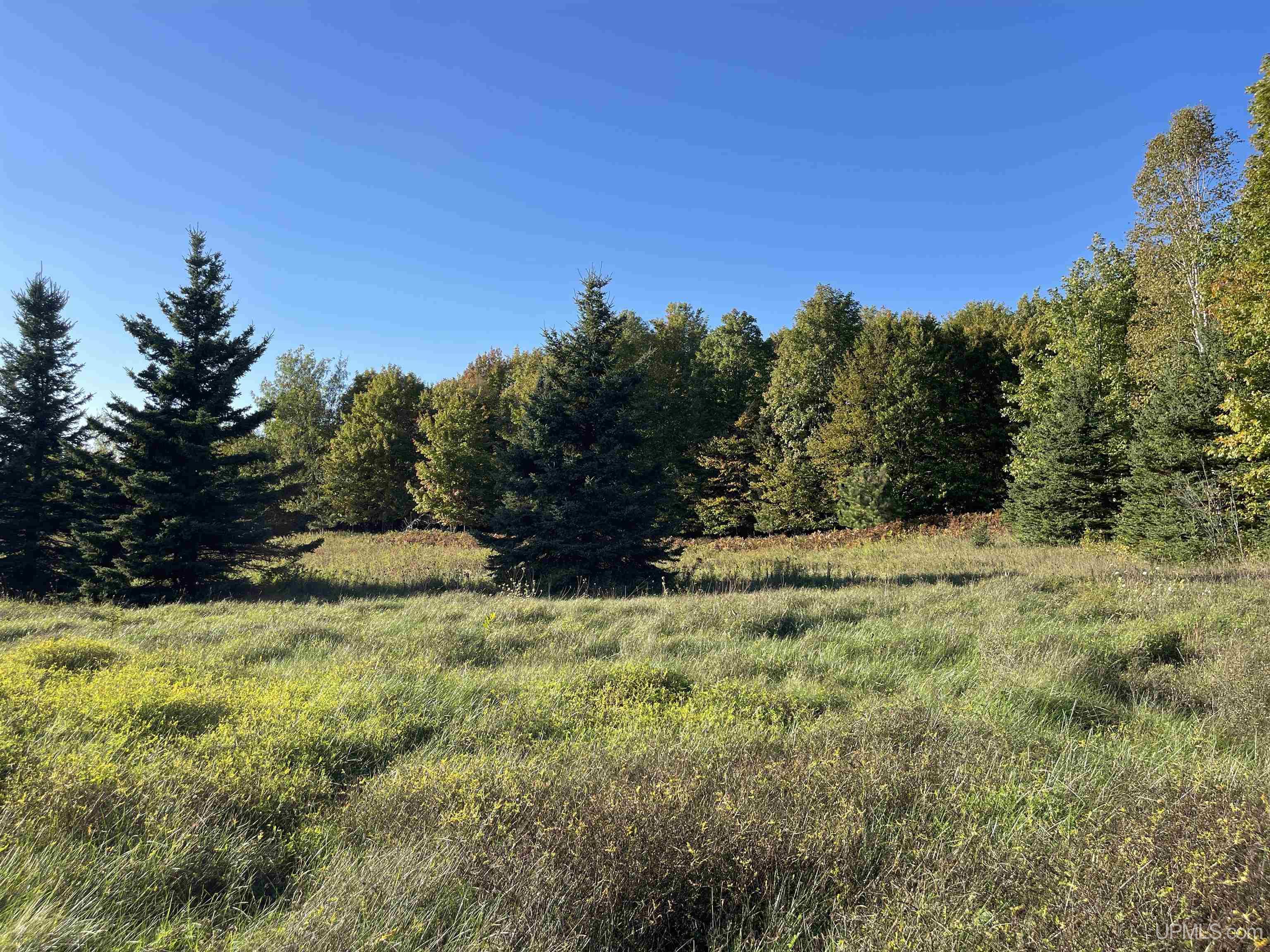 40-acres County Pit Road, Unit PARCEL #4 Manistique, MI 49854 - Photo 2 of 41 Gallery Image 2