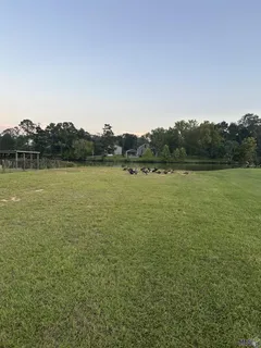 $77,500 | 14069 Mill Settlement Trace, Denham Springs, LA 70726