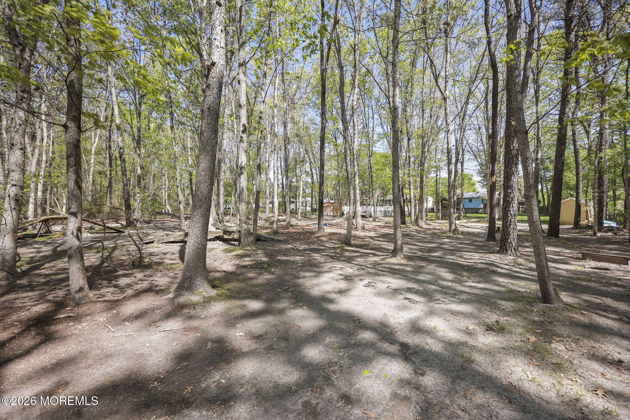 356 Leesville Road Jackson, NJ 08527 - Photo 41 of 46 a view of yard with trees