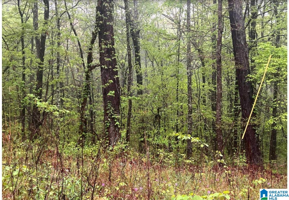6173 Embry Bend Road Lincoln, AL 35096 - Photo 2 of 2