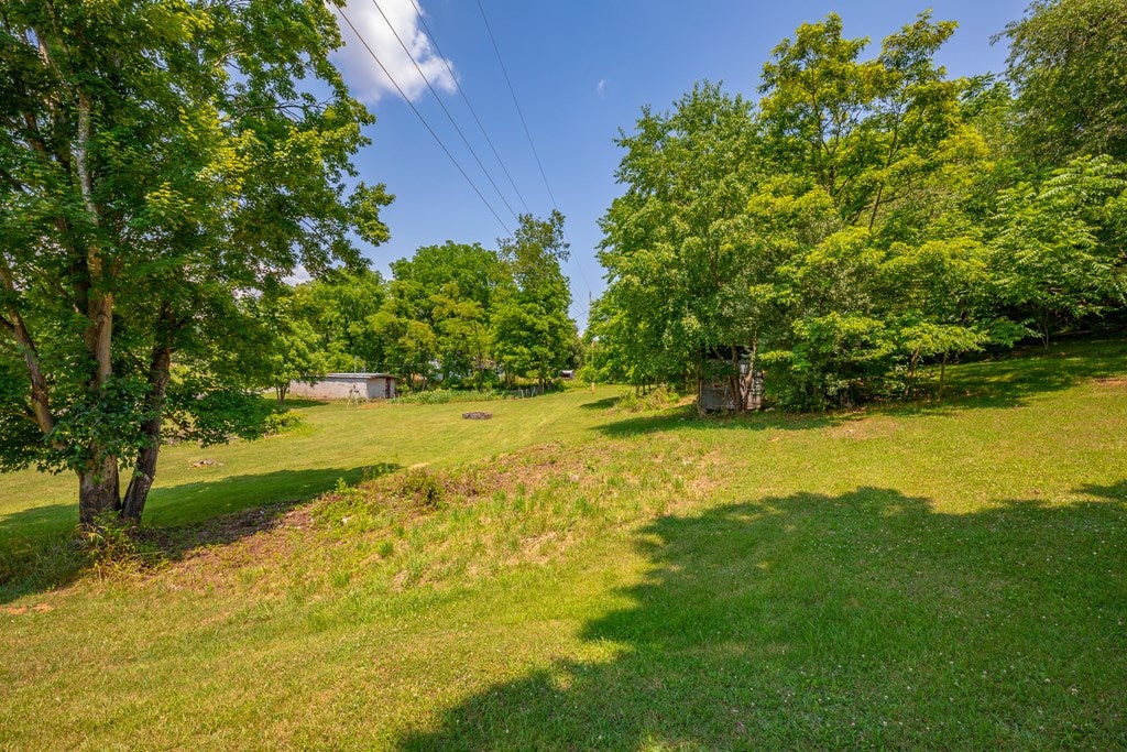179 Sanders Mines Road Max Meadows, VA 24360 - Photo 32 of 54 Gallery Image 32