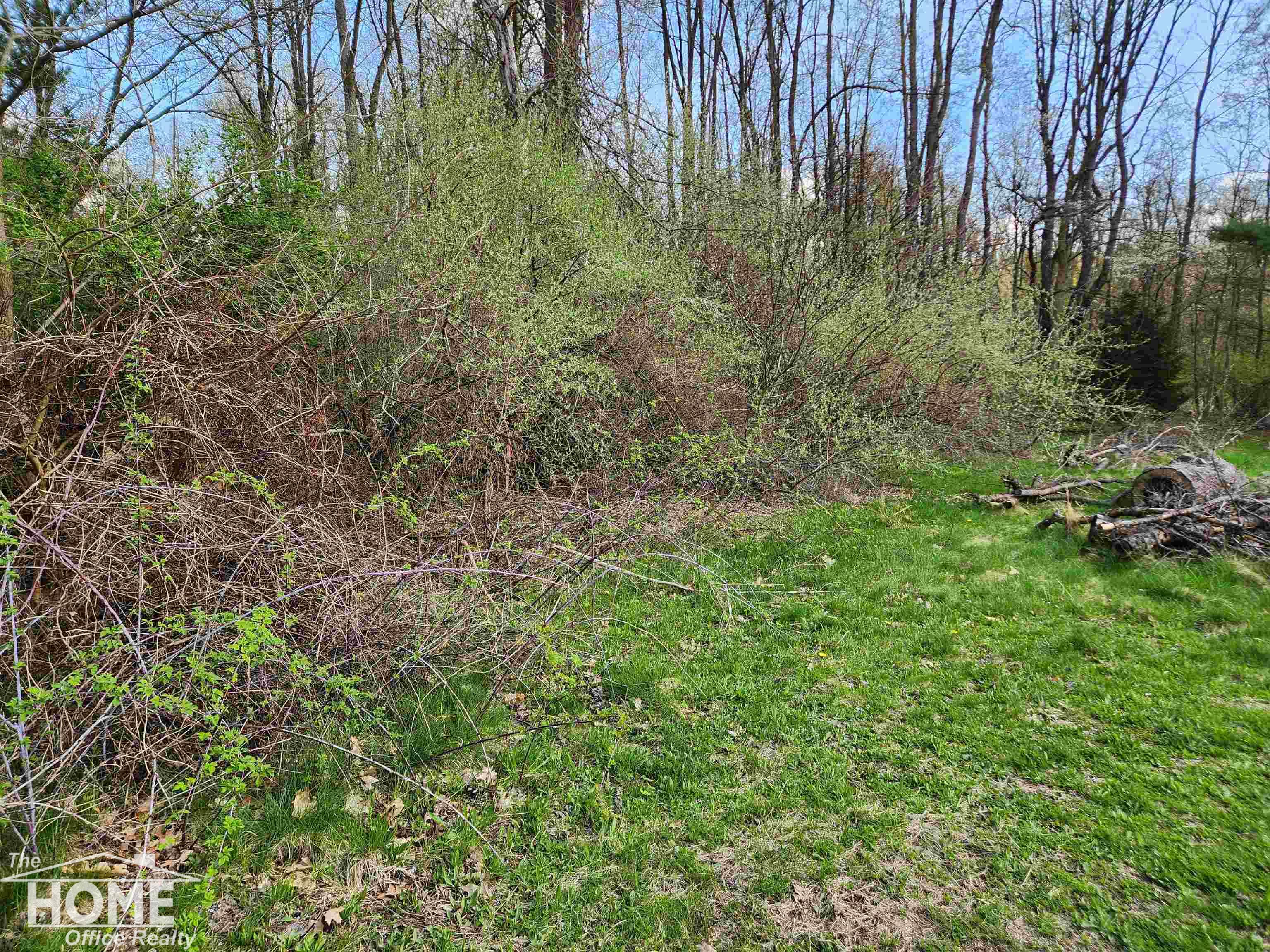 7405 West Lansing Road Shaftsburg, MI 48872 - Photo 37 of 37