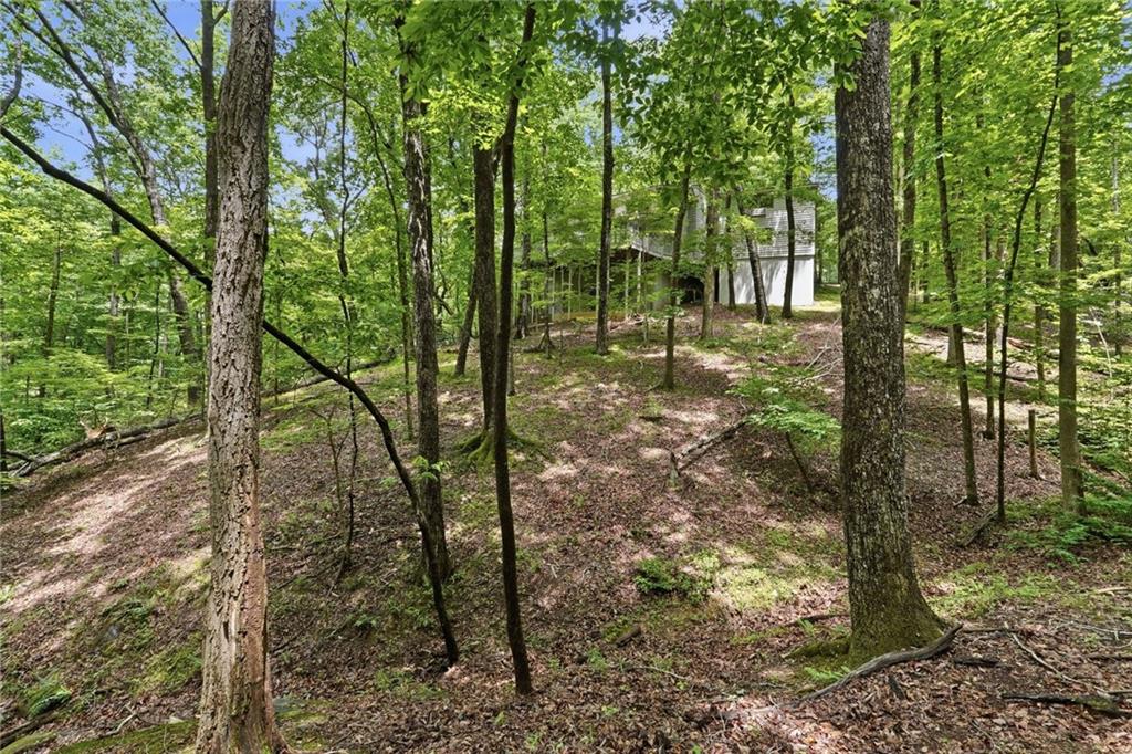 78 Ripple Creek Court Jasper, GA 30143 - Photo 24 of 48