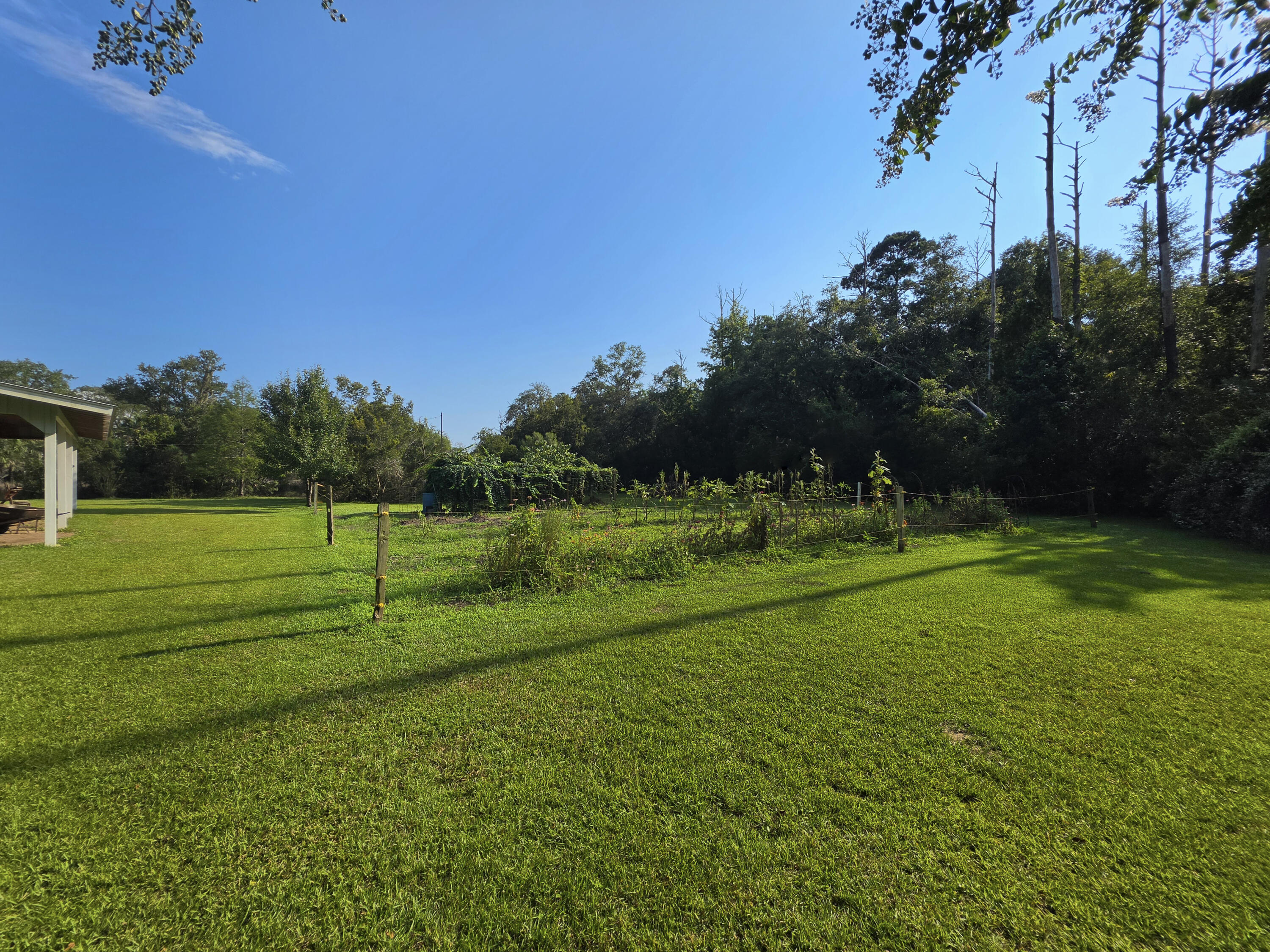 9715 2 Pines Road McClellanville, SC 29458 - Photo 59 of 80 20260820_171922